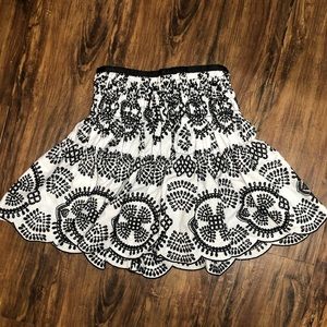 Fit and flare zara skirt